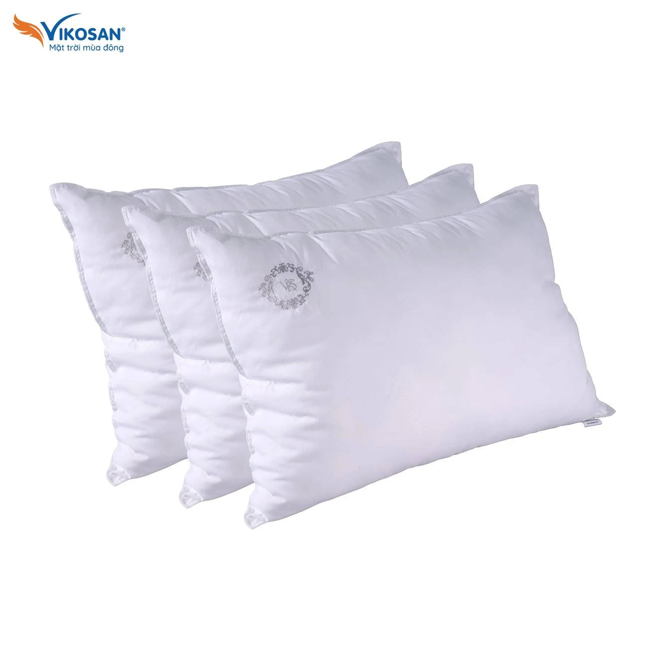 Ruột gối nằm Micro Standard 2024