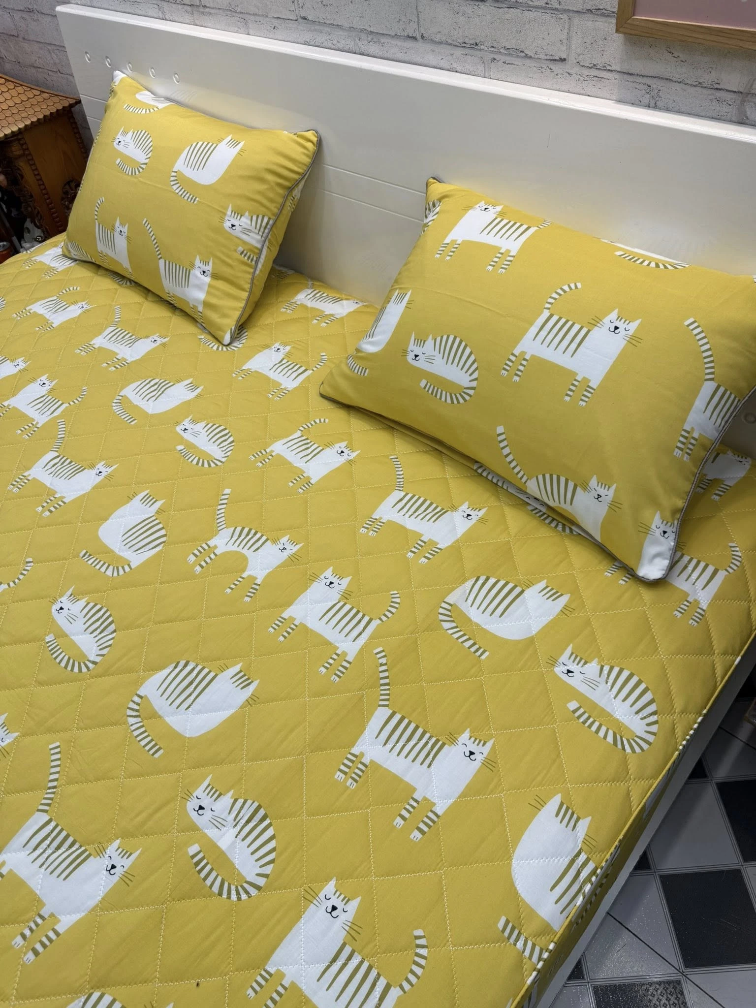 Set mẫu mèo vàng xjnh xắn.