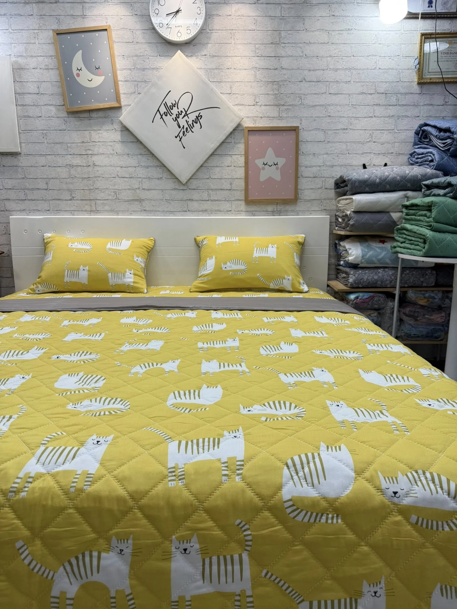 Set mẫu mèo vàng xjnh xắn.