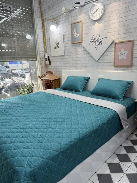 Bộ chăn ga gối mẫu họa tiết xanh xjnh lắm