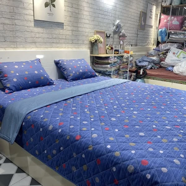 Bộ chăn ga gối cotton Hàn Quốc chấm bi nền xanh