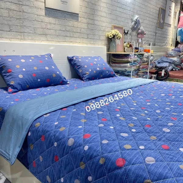Bộ chăn ga gối cotton Hàn Quốc chấm bi nền xanh