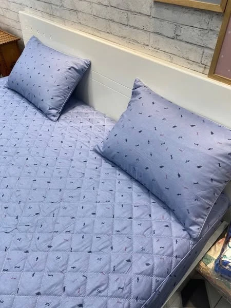 Bộ chăn ga gối cotton Hàn Quốc mẫu nốt 🎶 xjnh xắn.