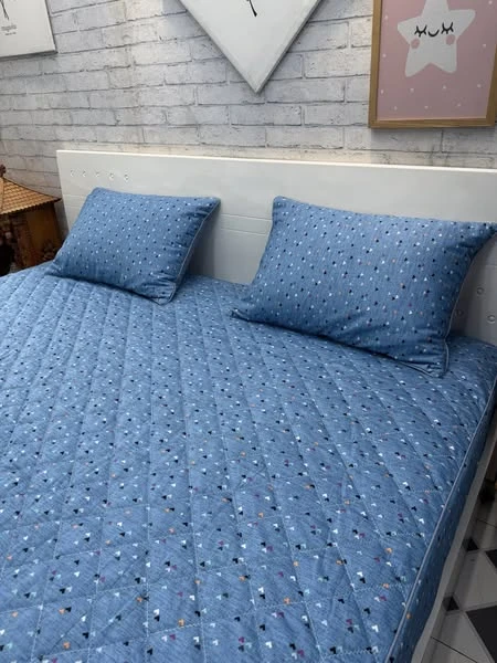 Sale 1 ga chun chần bông cotton sz 180cm x 200cm + 2 Vỏ gối 45*65cm mẫu mũi tên xanh
