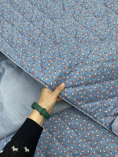 Bộ chăn ga gối cotton Hàn Quốc mẫu nấm xanh