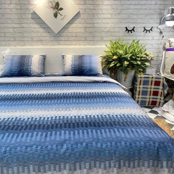 Bộ chăn ga gối cotton Hàn Quốc thẻ xanh xjnh xắn.