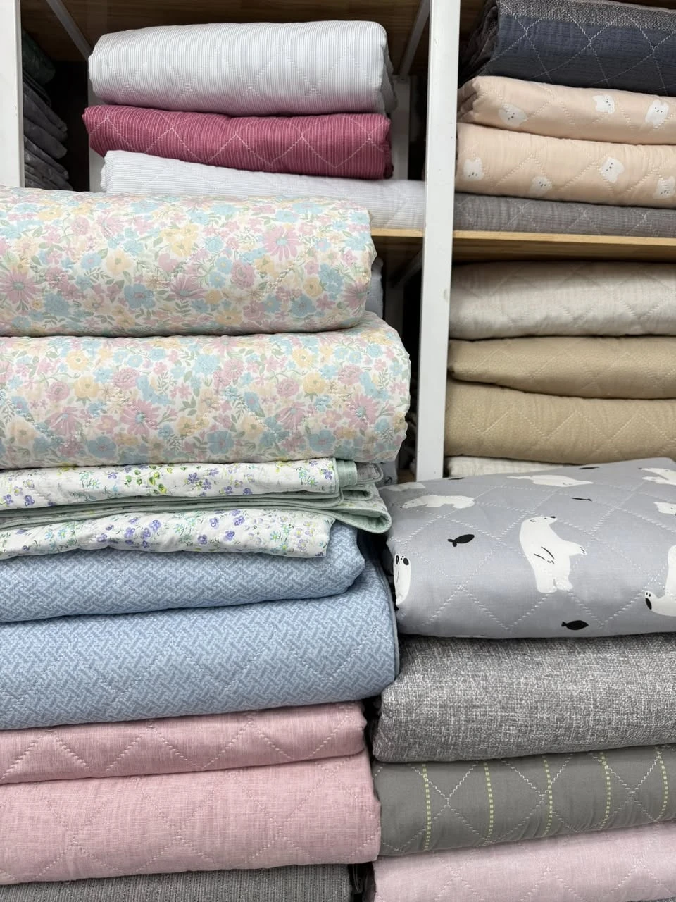 Các mẫu mới lên kệ