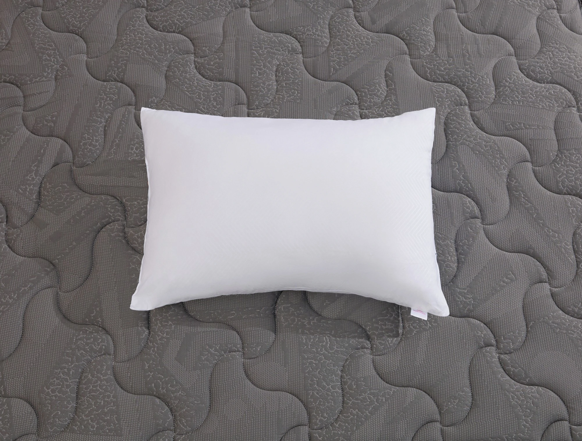 Ruột gối Sông Hồng