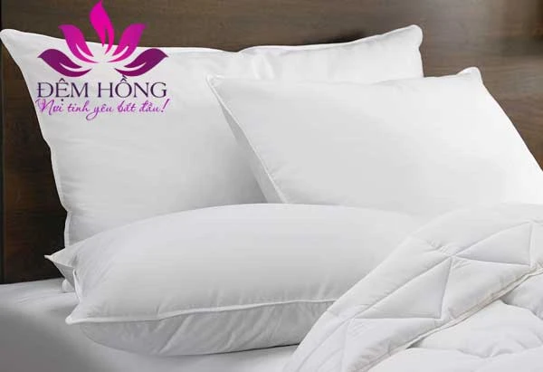 Ruột gối Sông Hồng